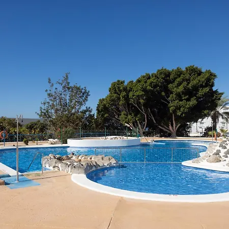 Lejlighed Precioso Estudio Con Vistas Al Mar En Costa Adeje (Tenerife)